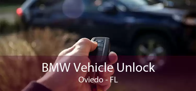 BMW Vehicle Unlock Oviedo - FL
