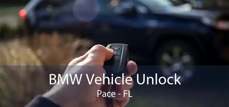 BMW Vehicle Unlock Pace - FL