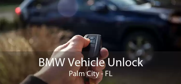 BMW Vehicle Unlock Palm City - FL