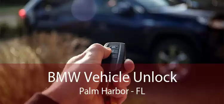 BMW Vehicle Unlock Palm Harbor - FL
