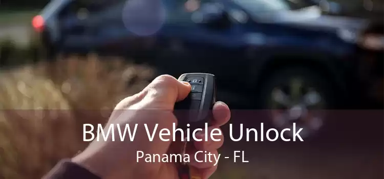 BMW Vehicle Unlock Panama City - FL