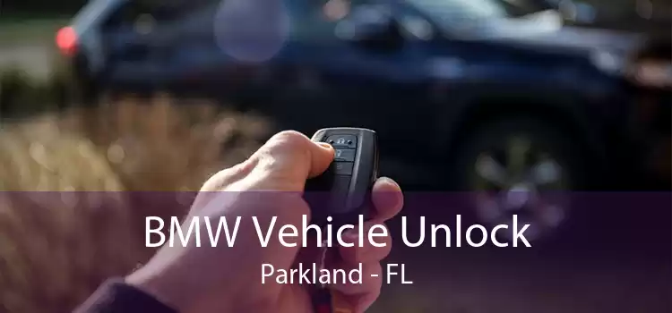 BMW Vehicle Unlock Parkland - FL