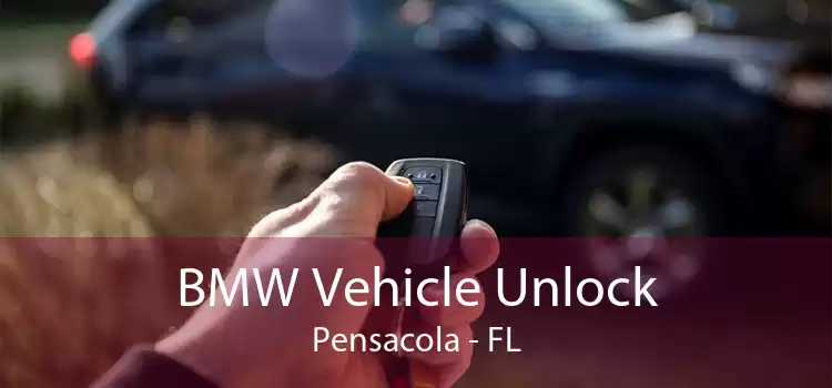 BMW Vehicle Unlock Pensacola - FL
