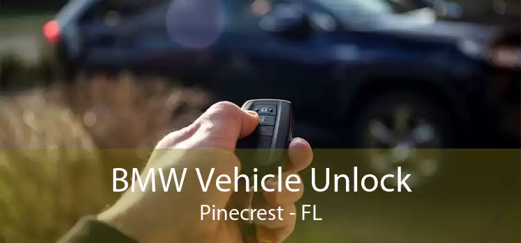 BMW Vehicle Unlock Pinecrest - FL