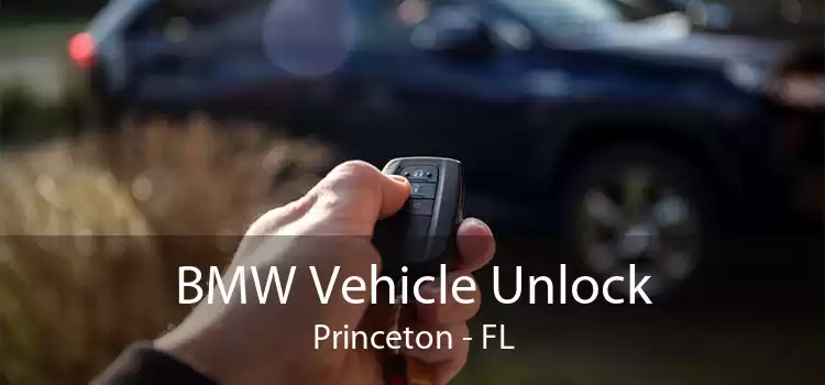 BMW Vehicle Unlock Princeton - FL
