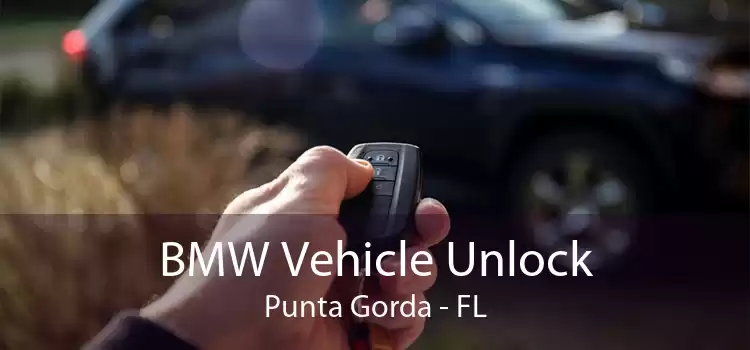 BMW Vehicle Unlock Punta Gorda - FL