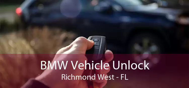 BMW Vehicle Unlock Richmond West - FL