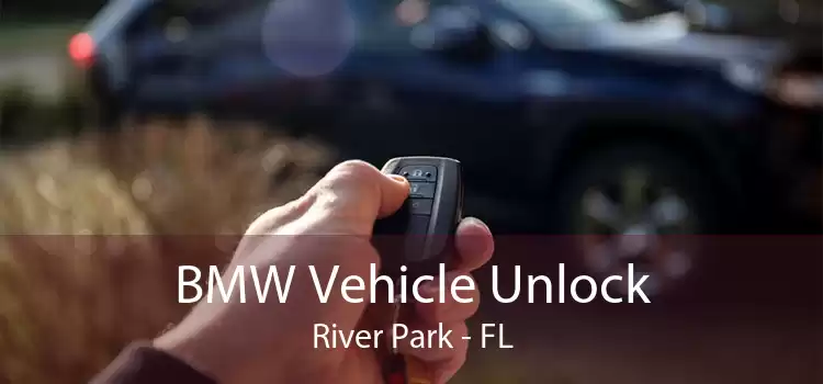 BMW Vehicle Unlock River Park - FL