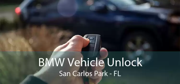 BMW Vehicle Unlock San Carlos Park - FL