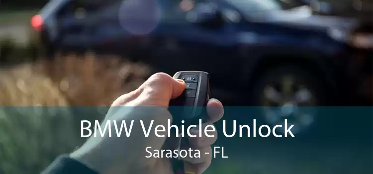 BMW Vehicle Unlock Sarasota - FL