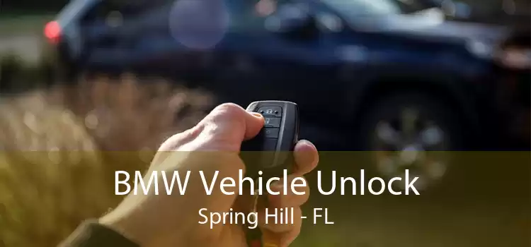 BMW Vehicle Unlock Spring Hill - FL