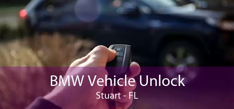 BMW Vehicle Unlock Stuart - FL