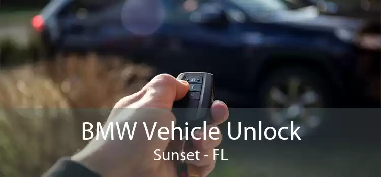 BMW Vehicle Unlock Sunset - FL