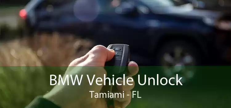 BMW Vehicle Unlock Tamiami - FL