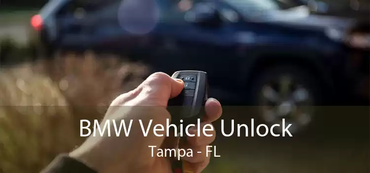BMW Vehicle Unlock Tampa - FL