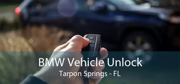 BMW Vehicle Unlock Tarpon Springs - FL
