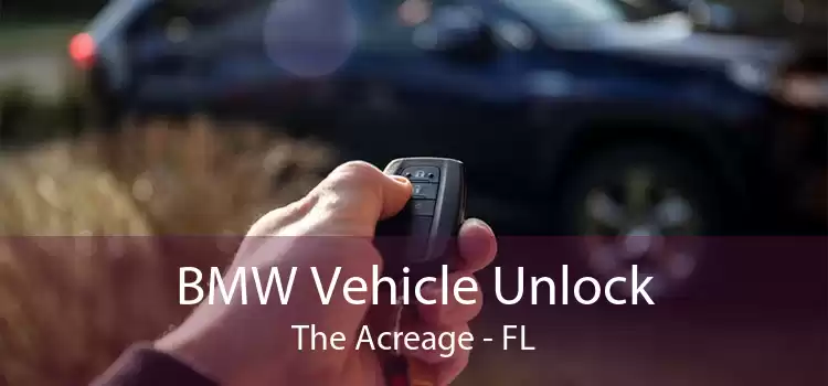 BMW Vehicle Unlock The Acreage - FL