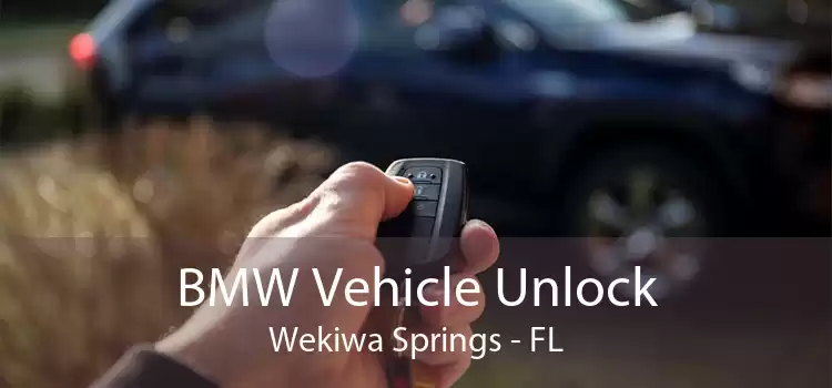 BMW Vehicle Unlock Wekiwa Springs - FL