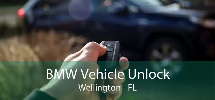 BMW Vehicle Unlock Wellington - FL