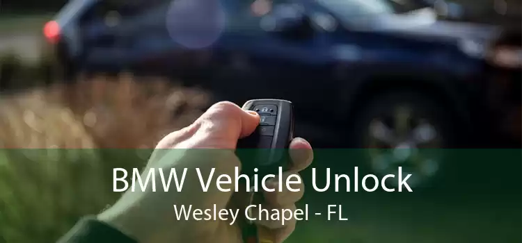 BMW Vehicle Unlock Wesley Chapel - FL