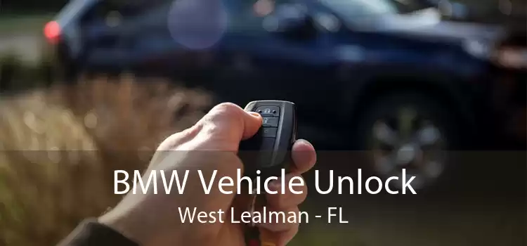 BMW Vehicle Unlock West Lealman - FL