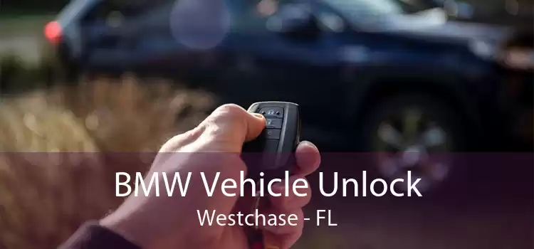BMW Vehicle Unlock Westchase - FL