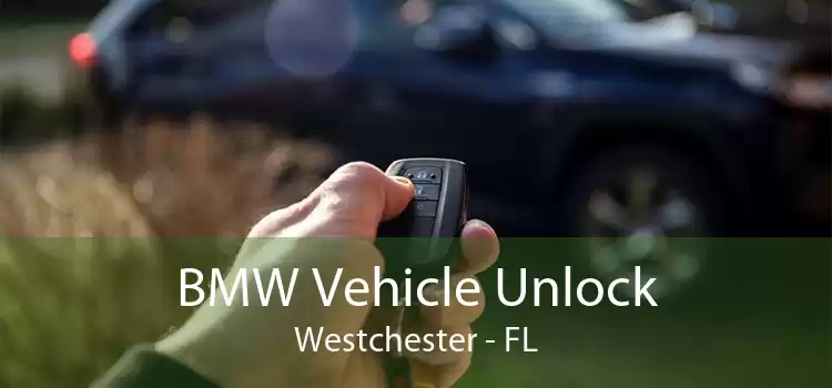 BMW Vehicle Unlock Westchester - FL