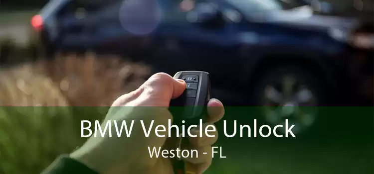 BMW Vehicle Unlock Weston - FL