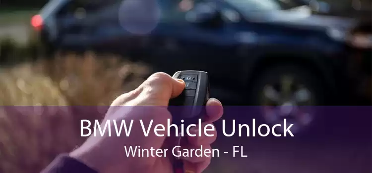 BMW Vehicle Unlock Winter Garden - FL