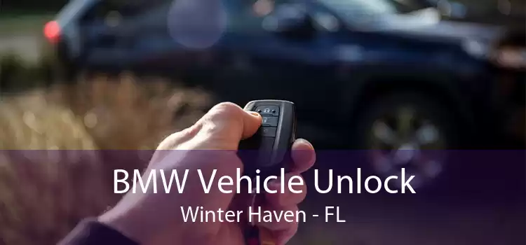 BMW Vehicle Unlock Winter Haven - FL