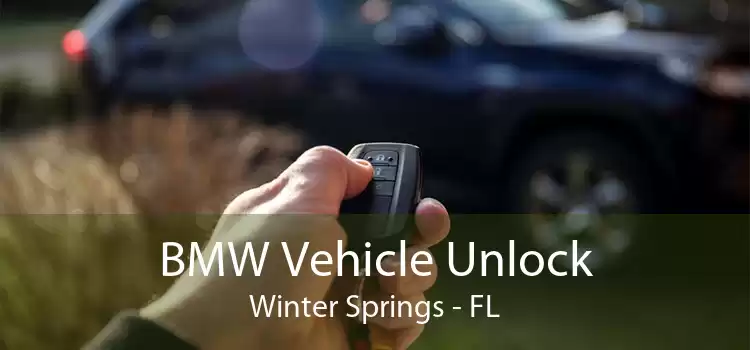 BMW Vehicle Unlock Winter Springs - FL
