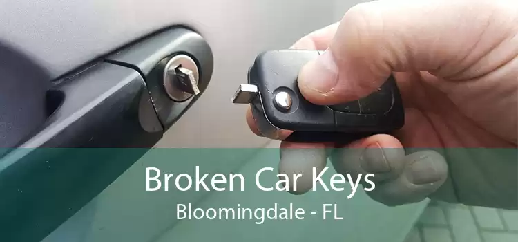 Broken Car Keys Bloomingdale - FL