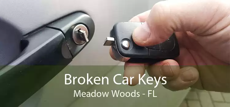 Broken Car Keys Meadow Woods - FL