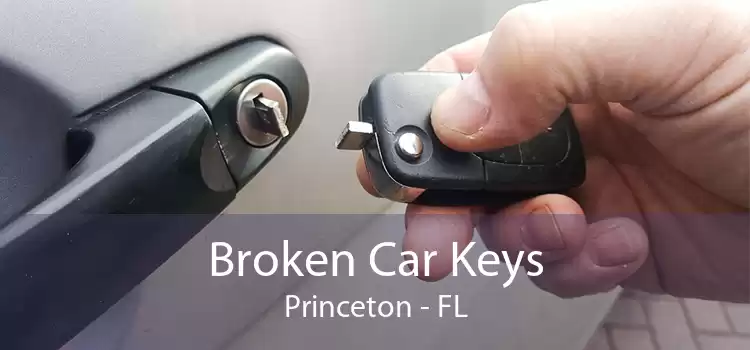 Broken Car Keys Princeton - FL