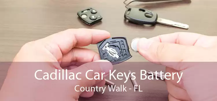 Cadillac Car Keys Battery Country Walk - FL