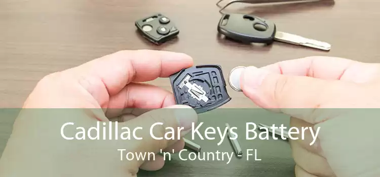 Cadillac Car Keys Battery Town 'n' Country - FL