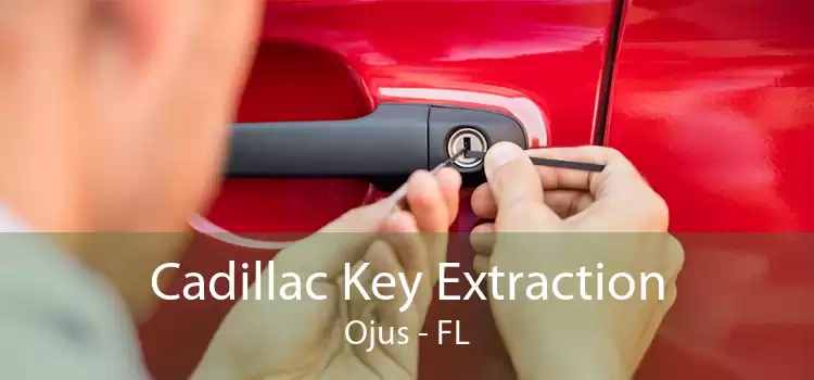 Cadillac Key Extraction Ojus - FL