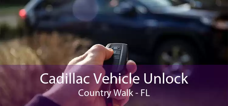 Cadillac Vehicle Unlock Country Walk - FL