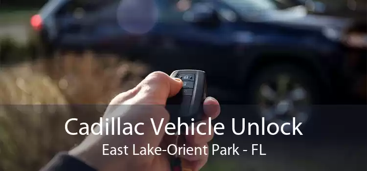 Cadillac Vehicle Unlock East Lake-Orient Park - FL