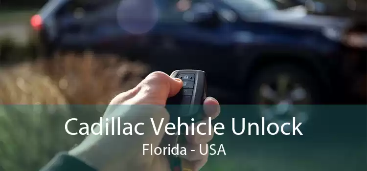 Cadillac Vehicle Unlock Florida - USA