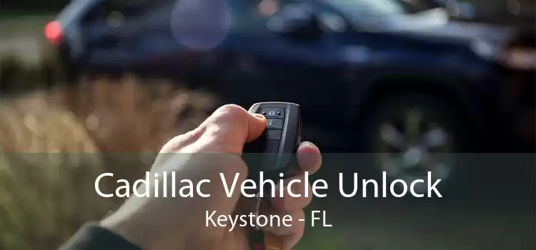 Cadillac Vehicle Unlock Keystone - FL