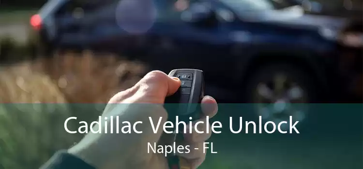 Cadillac Vehicle Unlock Naples - FL