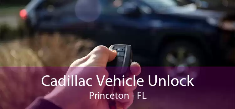 Cadillac Vehicle Unlock Princeton - FL