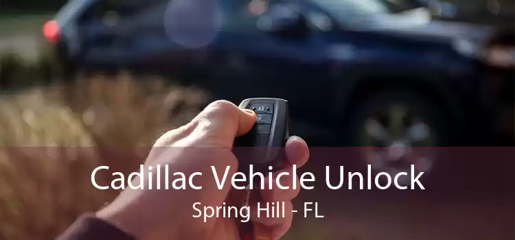 Cadillac Vehicle Unlock Spring Hill - FL