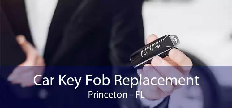 Car Key Fob Replacement Princeton - FL