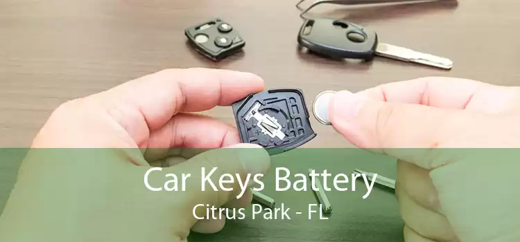 Car Keys Battery Citrus Park - FL