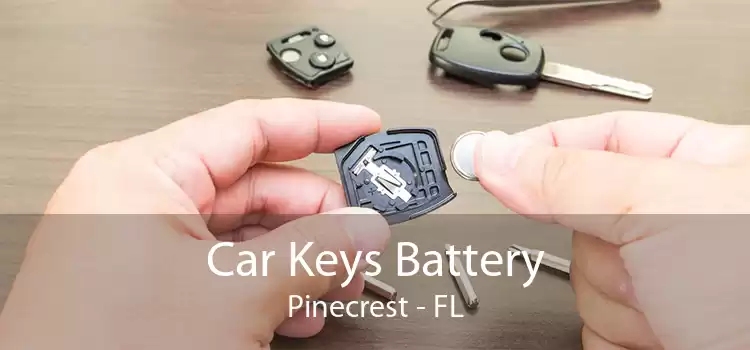 Car Keys Battery Pinecrest - FL
