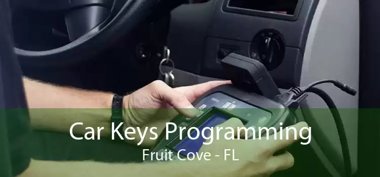 Car Keys Programming Fruit Cove - FL