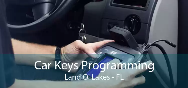 Car Keys Programming Land O' Lakes - FL