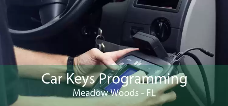 Car Keys Programming Meadow Woods - FL